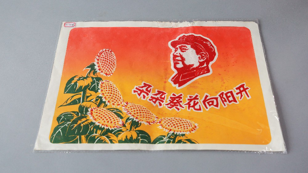 现代“朵朵葵花向阳开”奖状