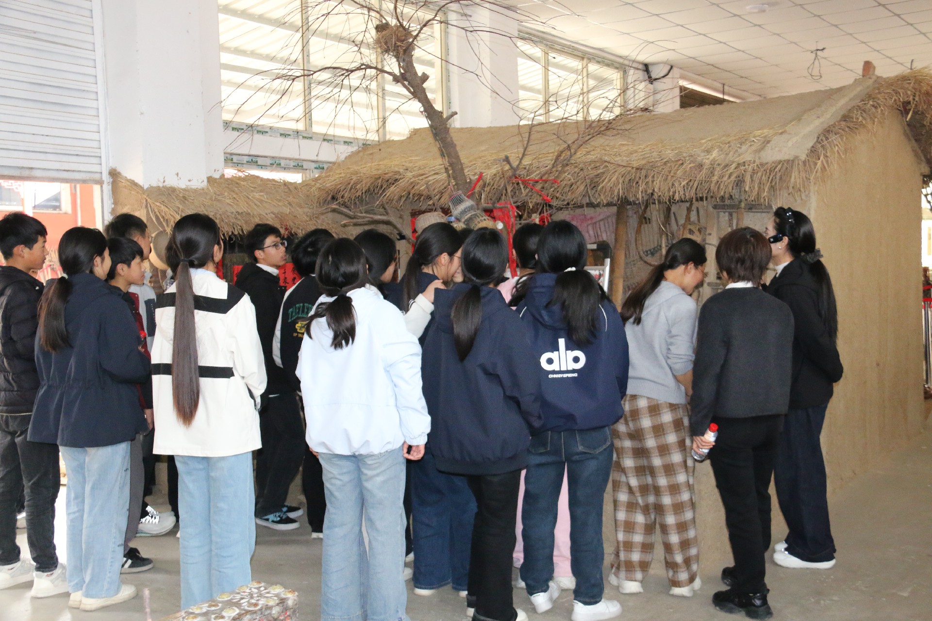 1775893092513948.jpg dbeb001a3223436398e2e98e2fae64e7.jpg